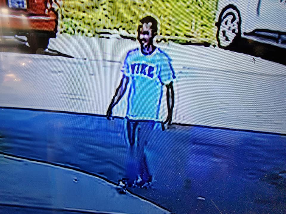 Missingdogthief Missingdogthief